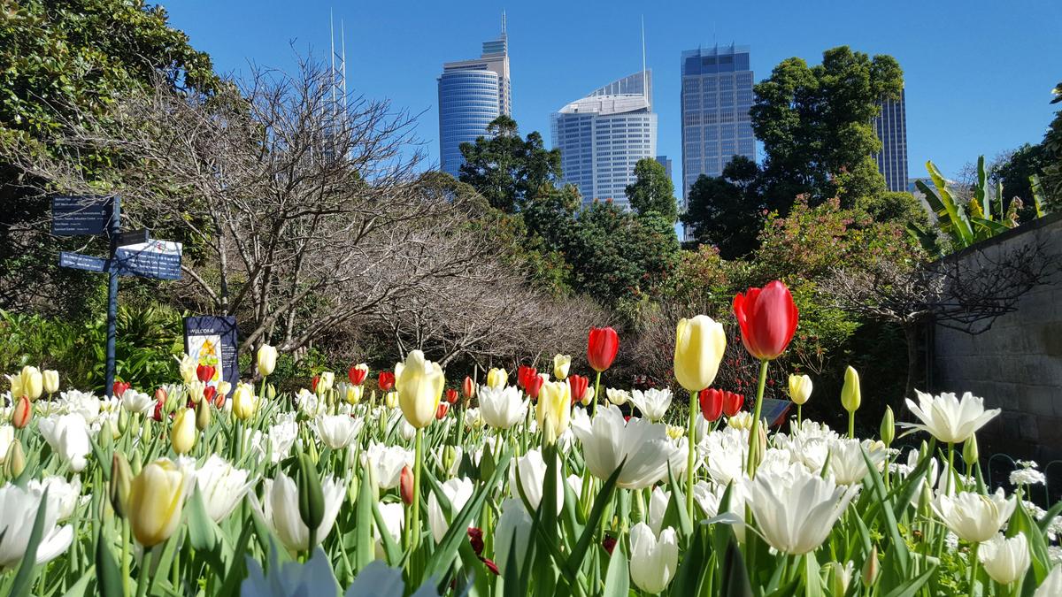 Royal Botanical Garden