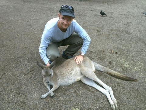 Kangaroo in Wildlife Park