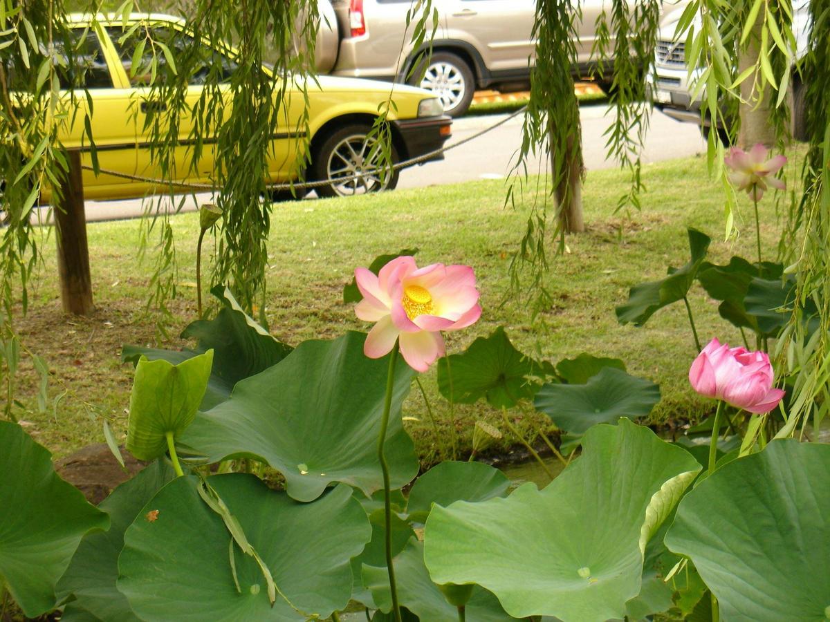 Nan Tien Buddhist Temple