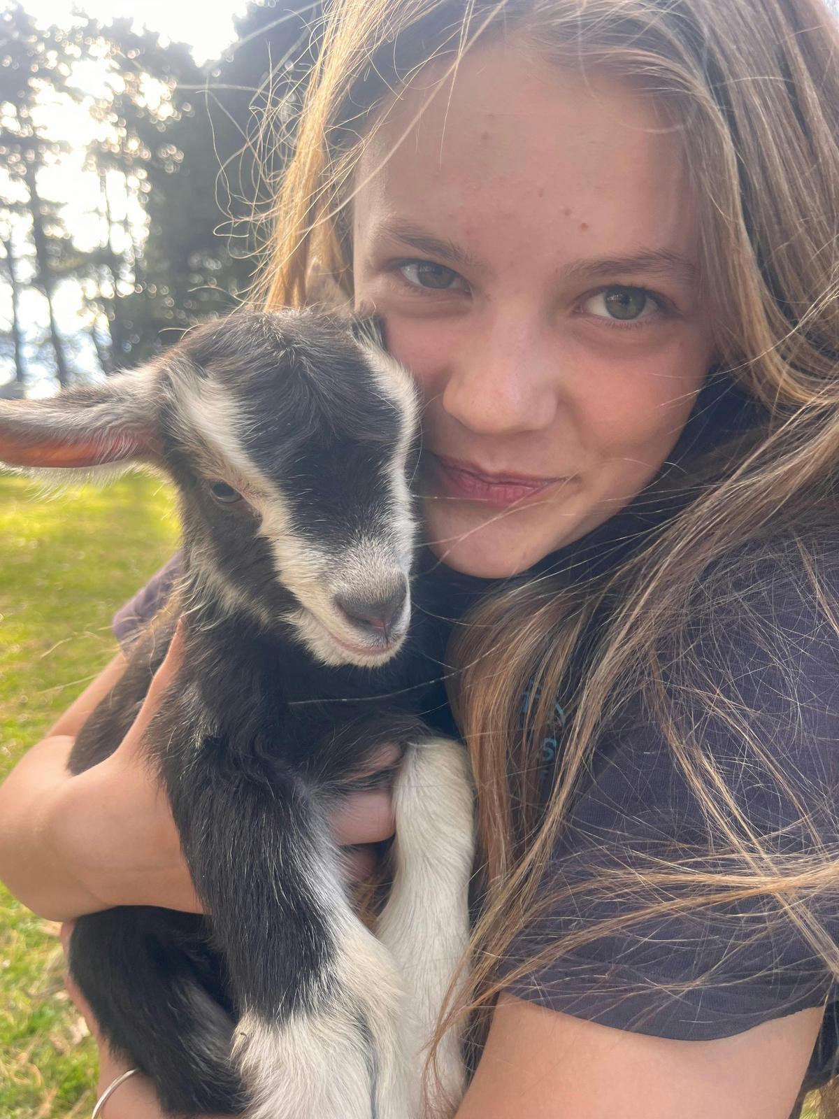 cuddle goats