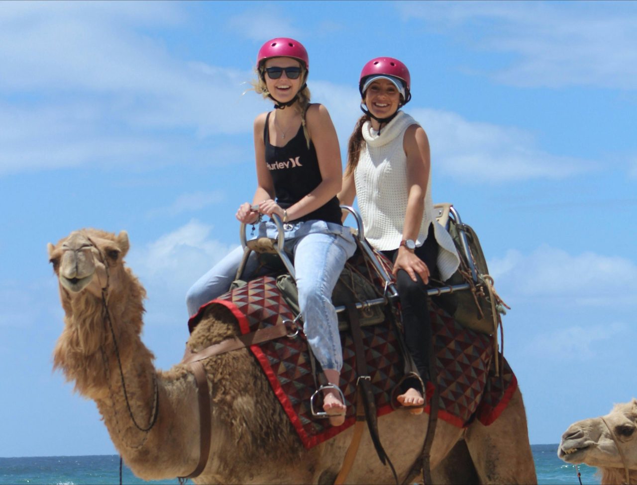 Port Macquarie Camel Safaris