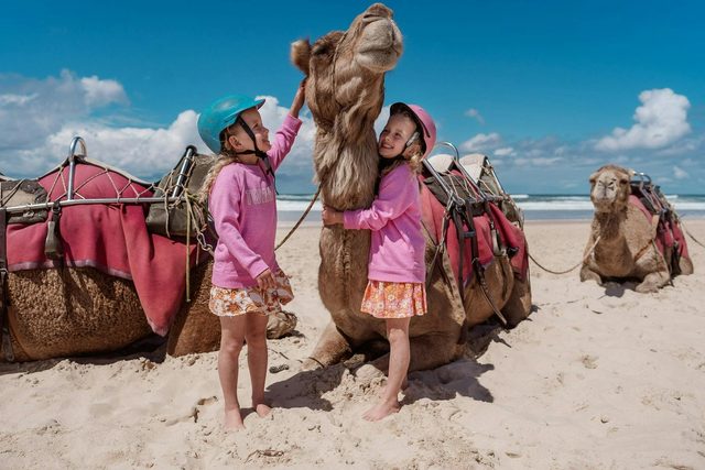 Port Macquarie Camel Safaris