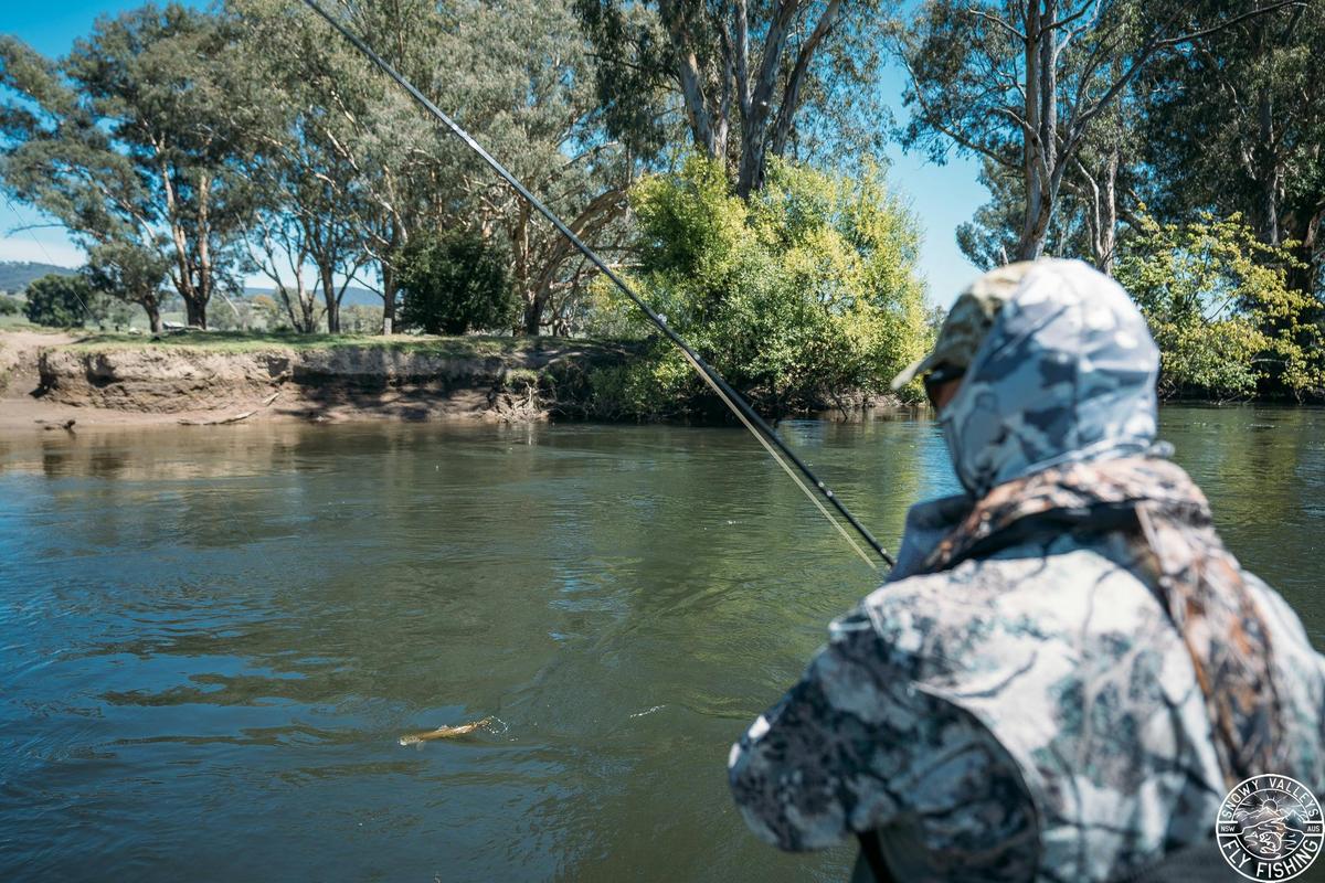 Drifting the Tumut and Swampy Plains River