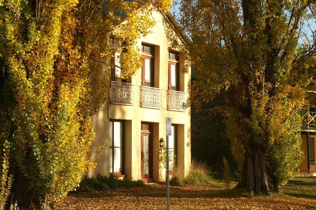 House with trees