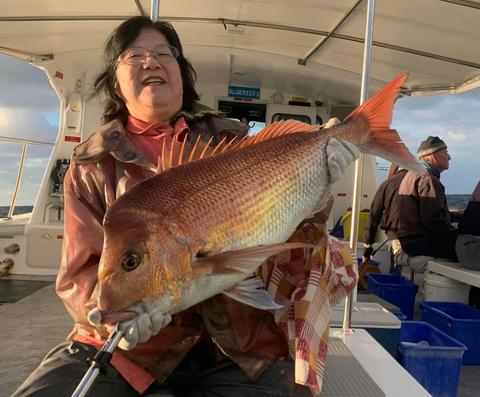Offshore Deep Sea 7 Hour Reef Fishing adventure