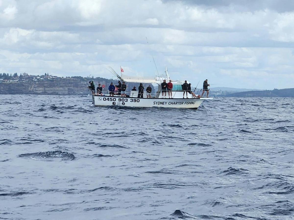 open seas