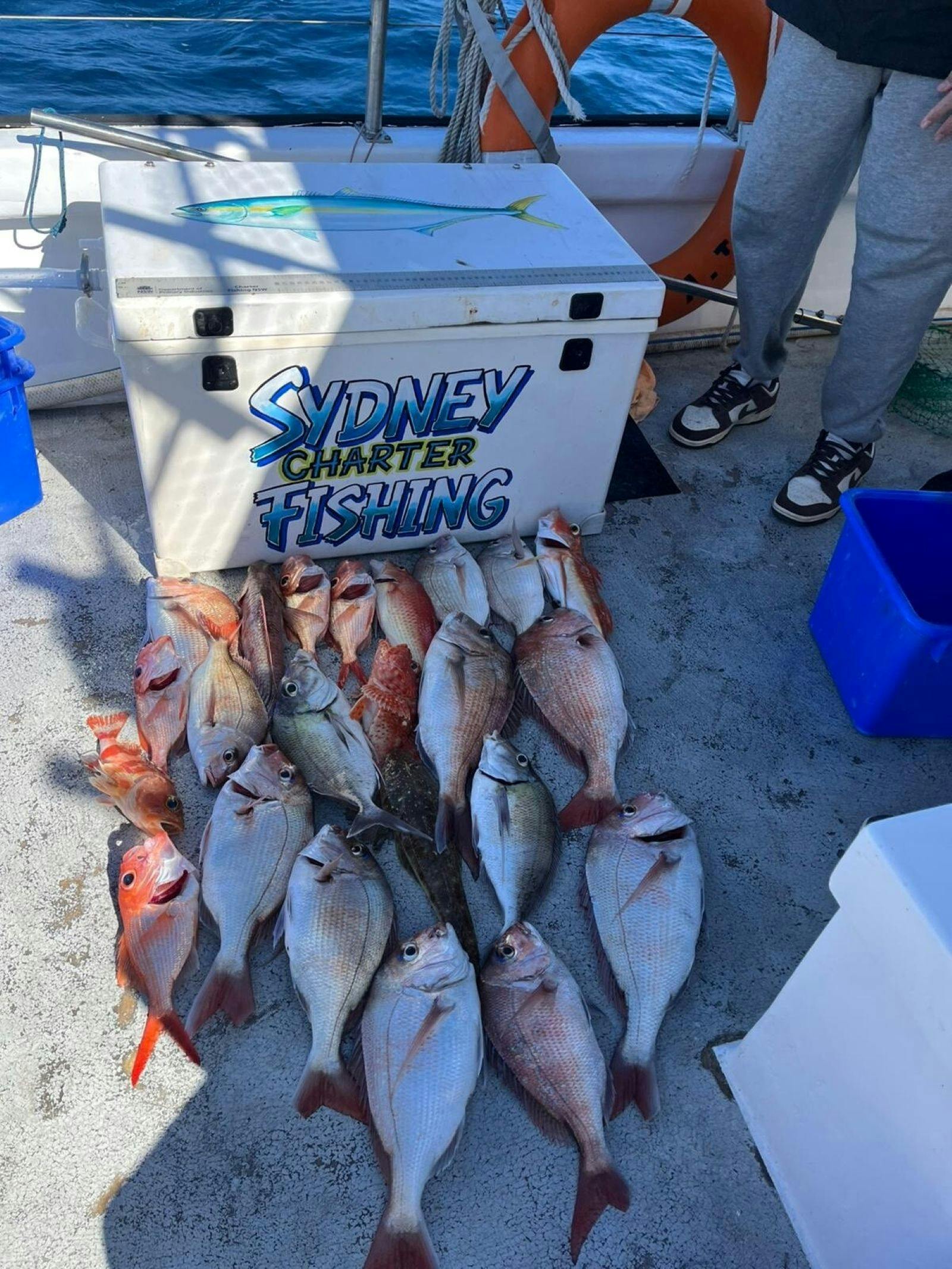 Sydney Charter Fishing