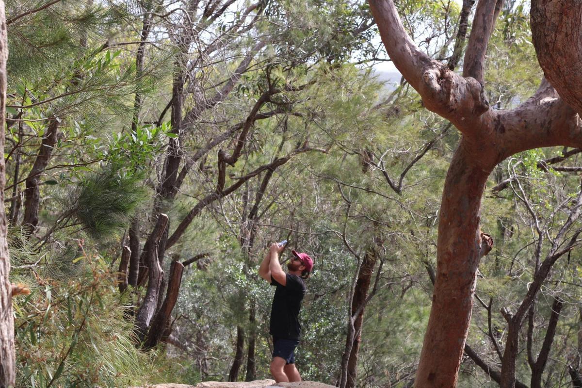 Port Stephens Whale Adventure, departing Newcastle