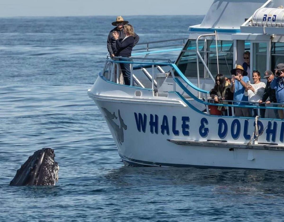 Port Stephens Winter Adventure, departing Newcastle