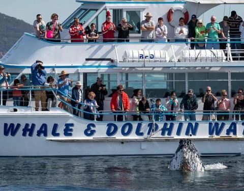 Port Stephens Winter Adventure, departing Newcastle