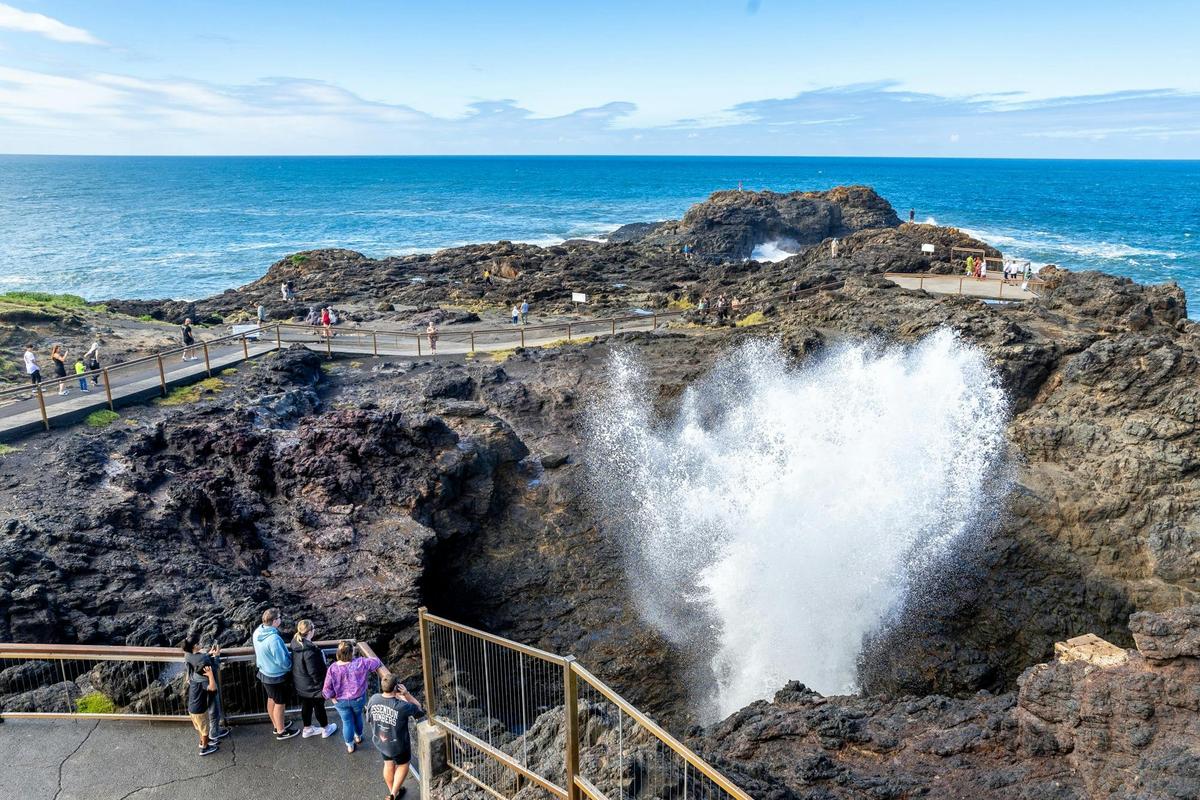 Kiama Blowhole with Wolongong Day Tour