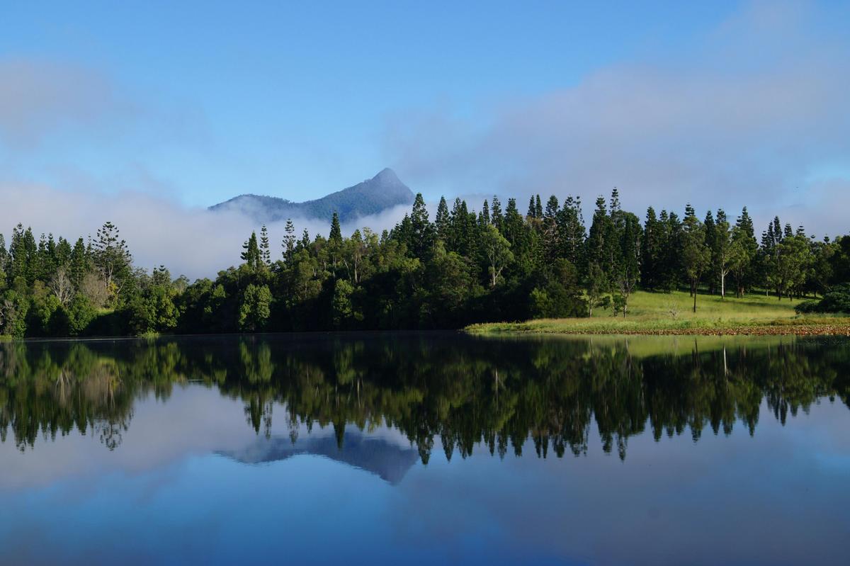 Mt Wollumbin from Clarrie Hall Dam