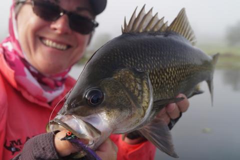 Fly Fishing for Bass