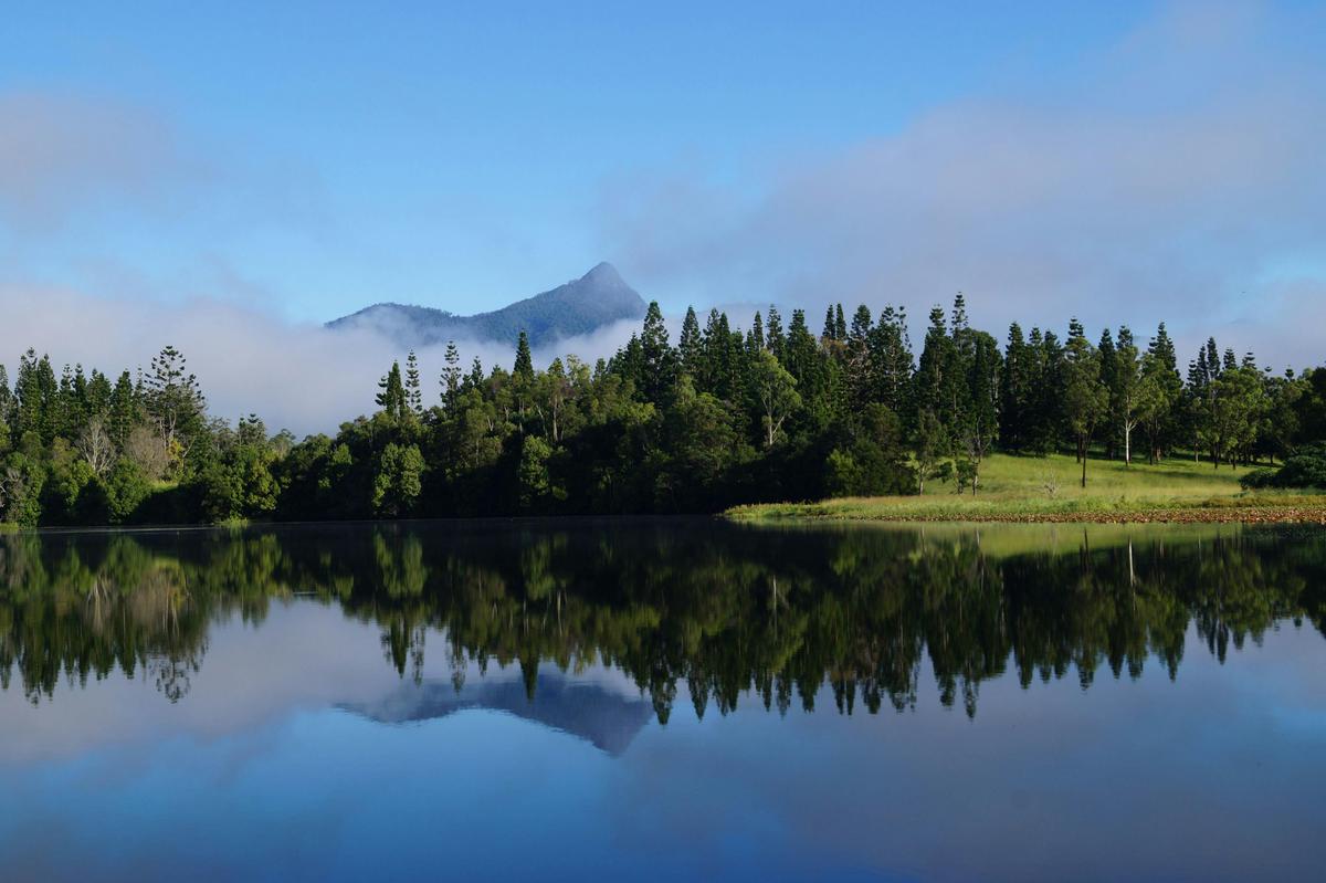 Mount Warning from Clarrie Hall Dam