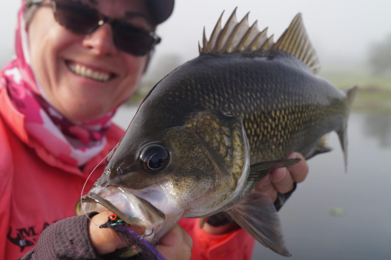 Fly fishing for Australian Bass