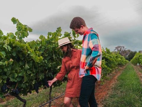 Vineyard Walk