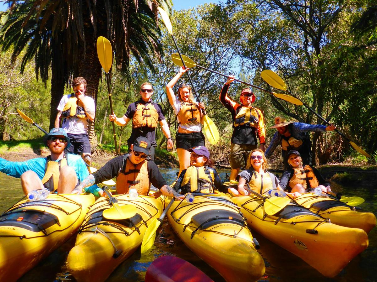Kayak Tour in Scott's Creek