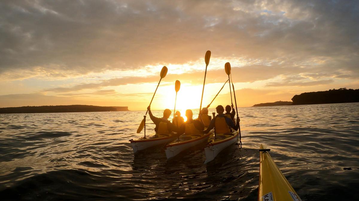 Middle Harbour SUNRISER Kayaking Adventure