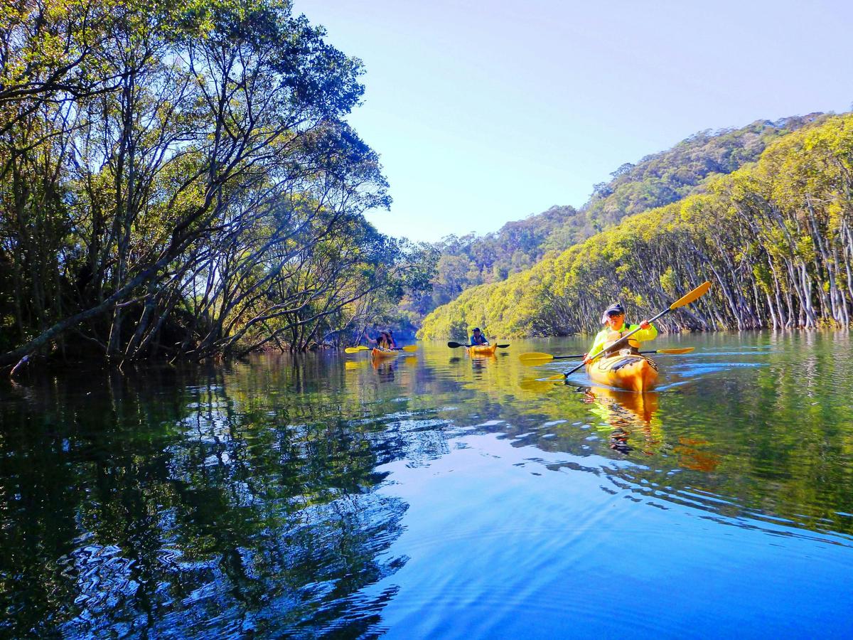 Kayaking in Middle Harbour