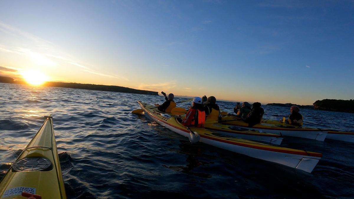 Middle Harbour SUNRISER Kayaking Adventure