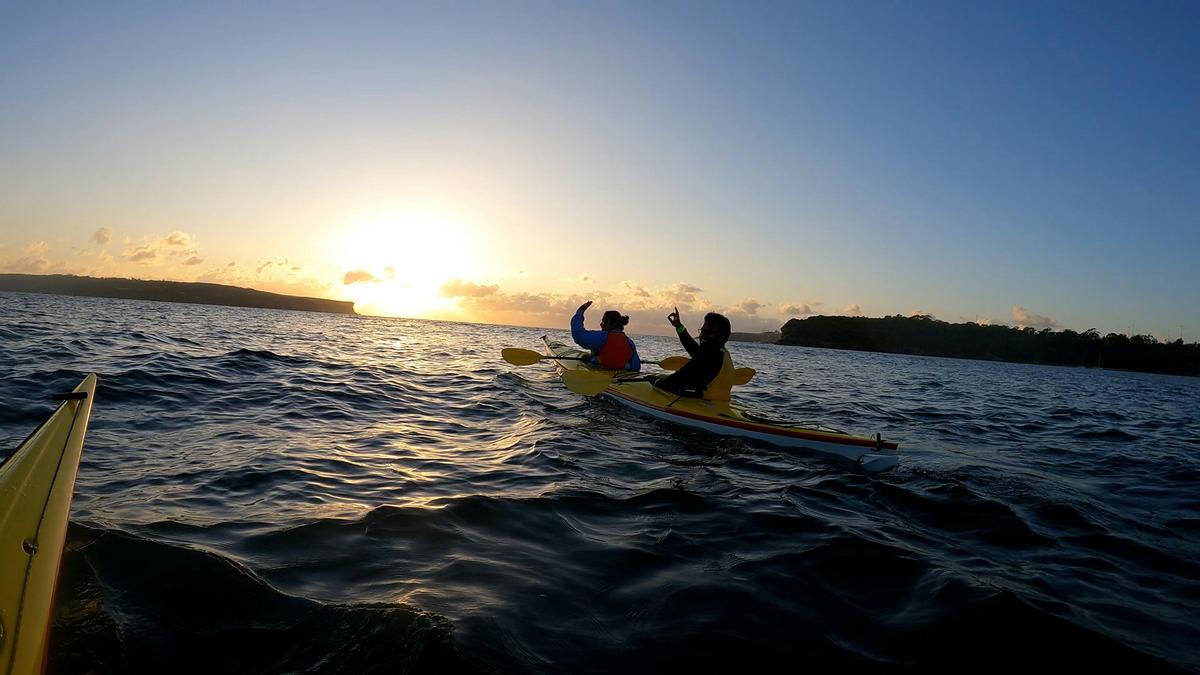Middle Harbour SUNRISER