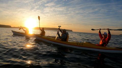 Middle Harbour SUNRISER Kayaking Adventure