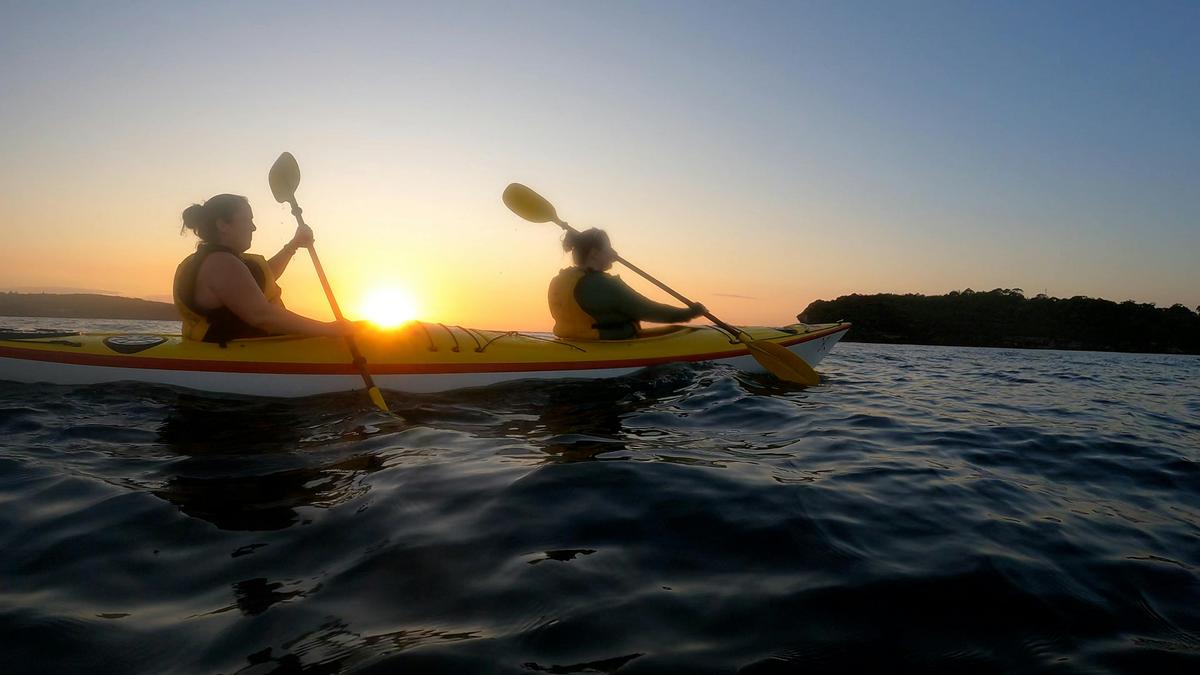 Middle Harbour SUNRISER Kayaking Adventure
