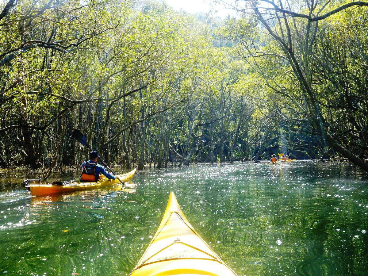 Kayaking in Middle Harbour