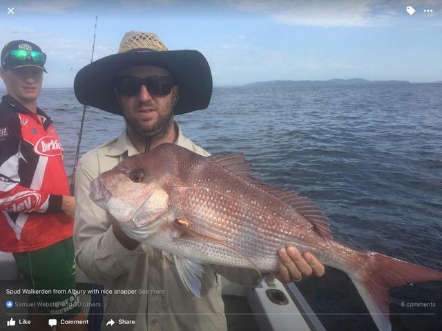 Snapper