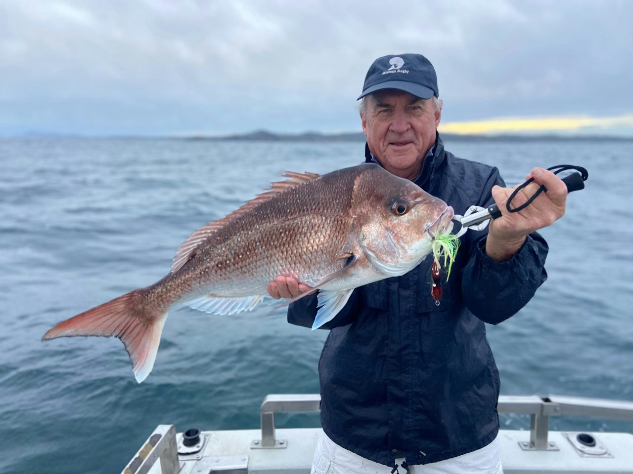 snapper