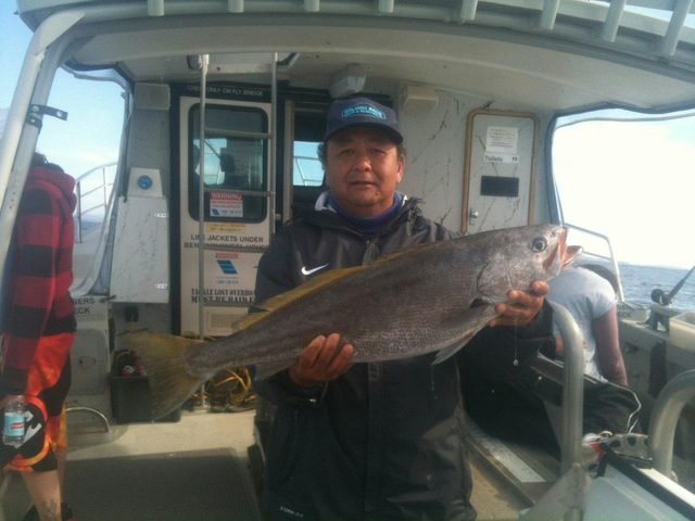 Port Macquarie Fishing Charters