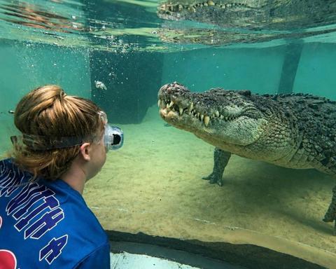 Port Stephens Crocodile Encounters