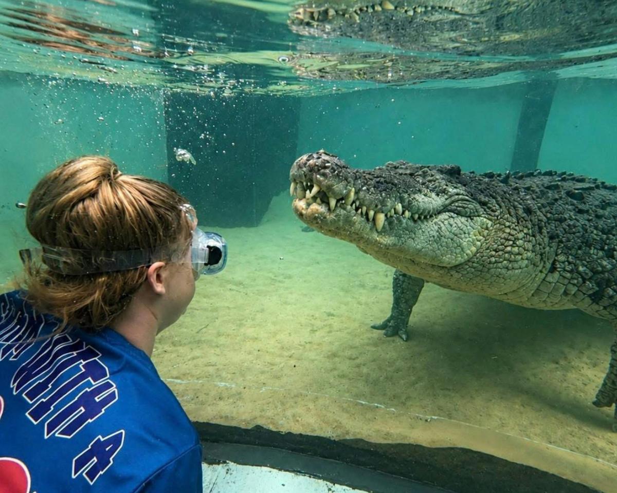 Port Stephens Crocodile Encounters