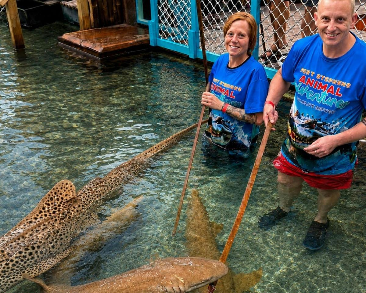 Port Stephens Crocodile Encounters