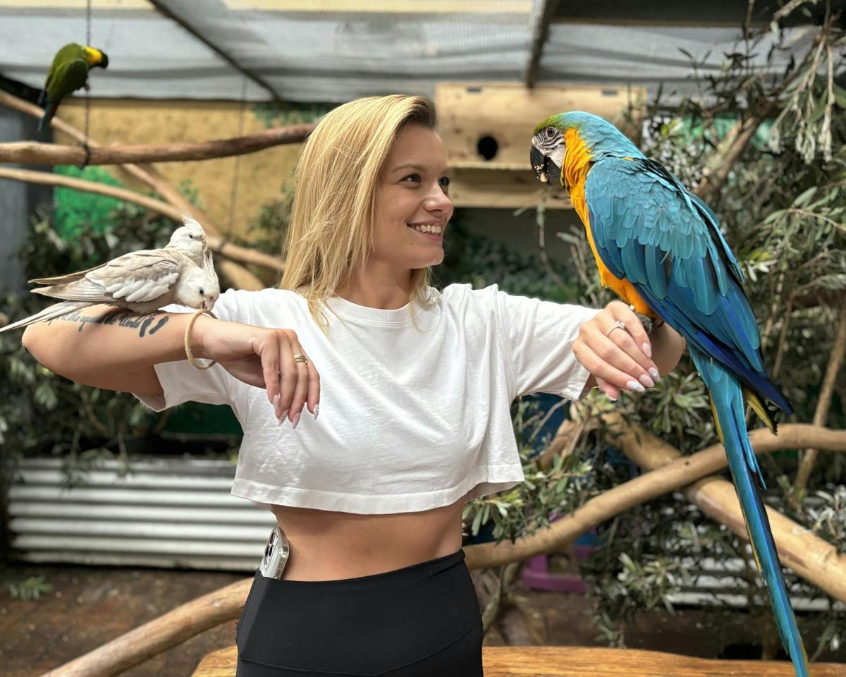 Say hello to our friendly birds