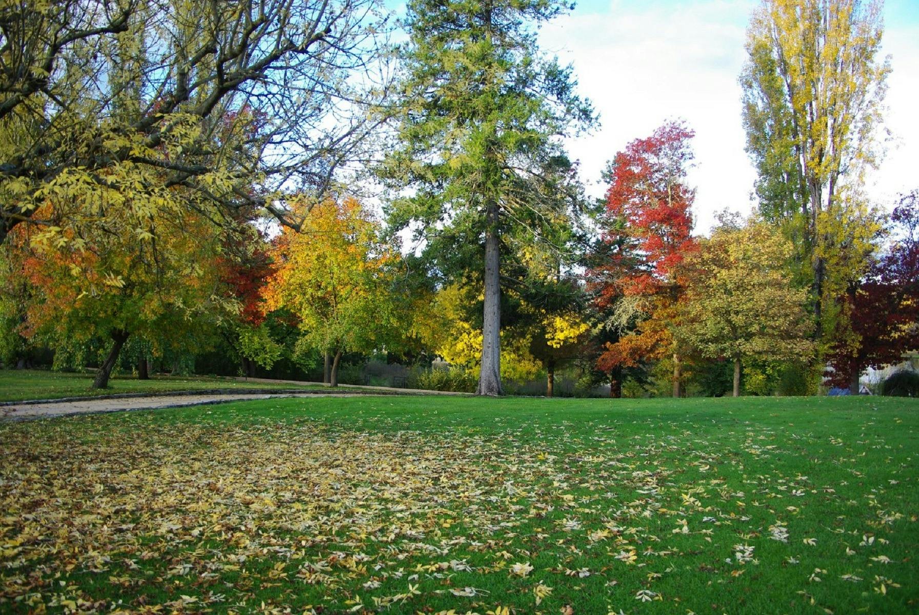 Private Gardens of the Monaro