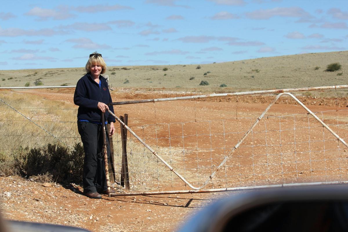 Open Gate Outback NSW Tour
