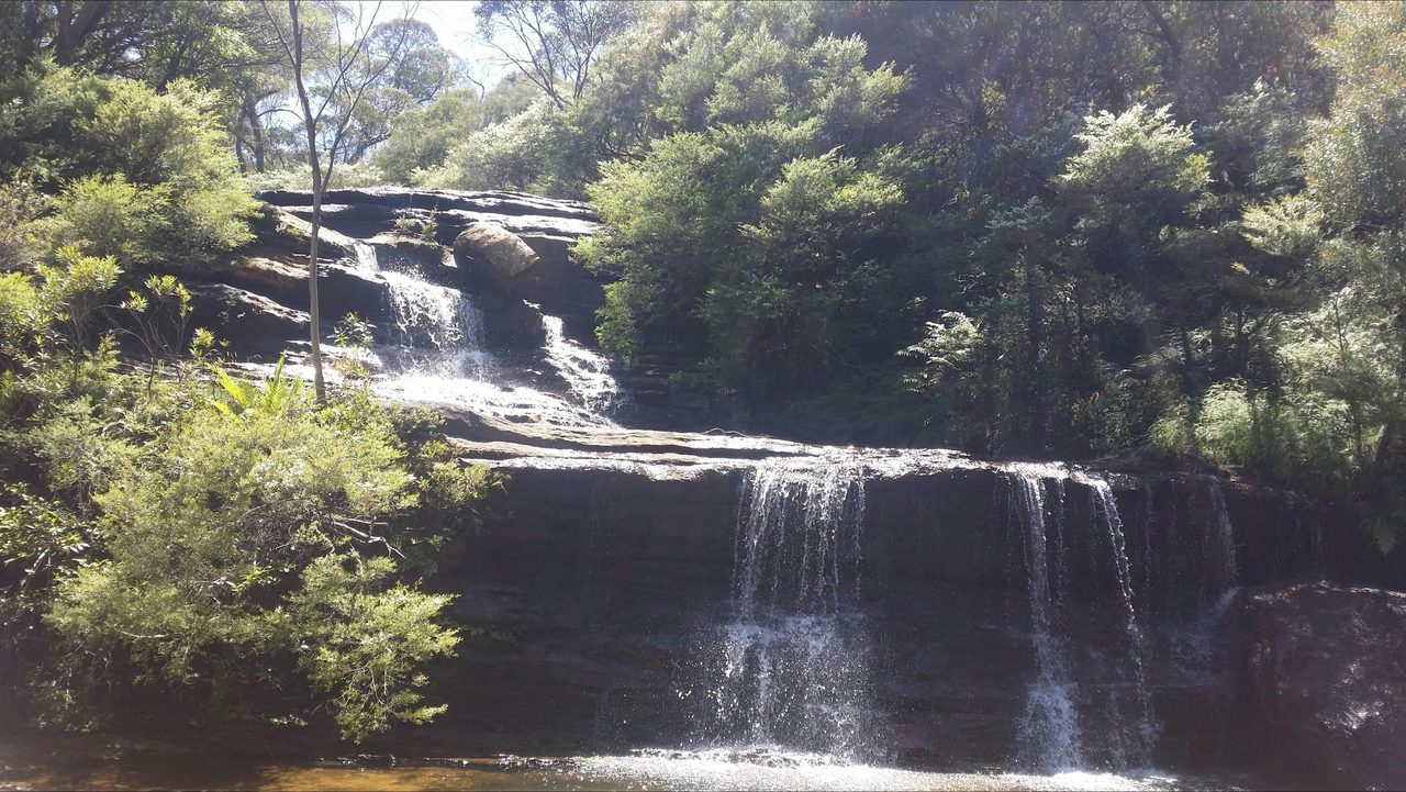 Blue Mountains tour with Spirit Safaris Outba.ck & Wilderness Tours