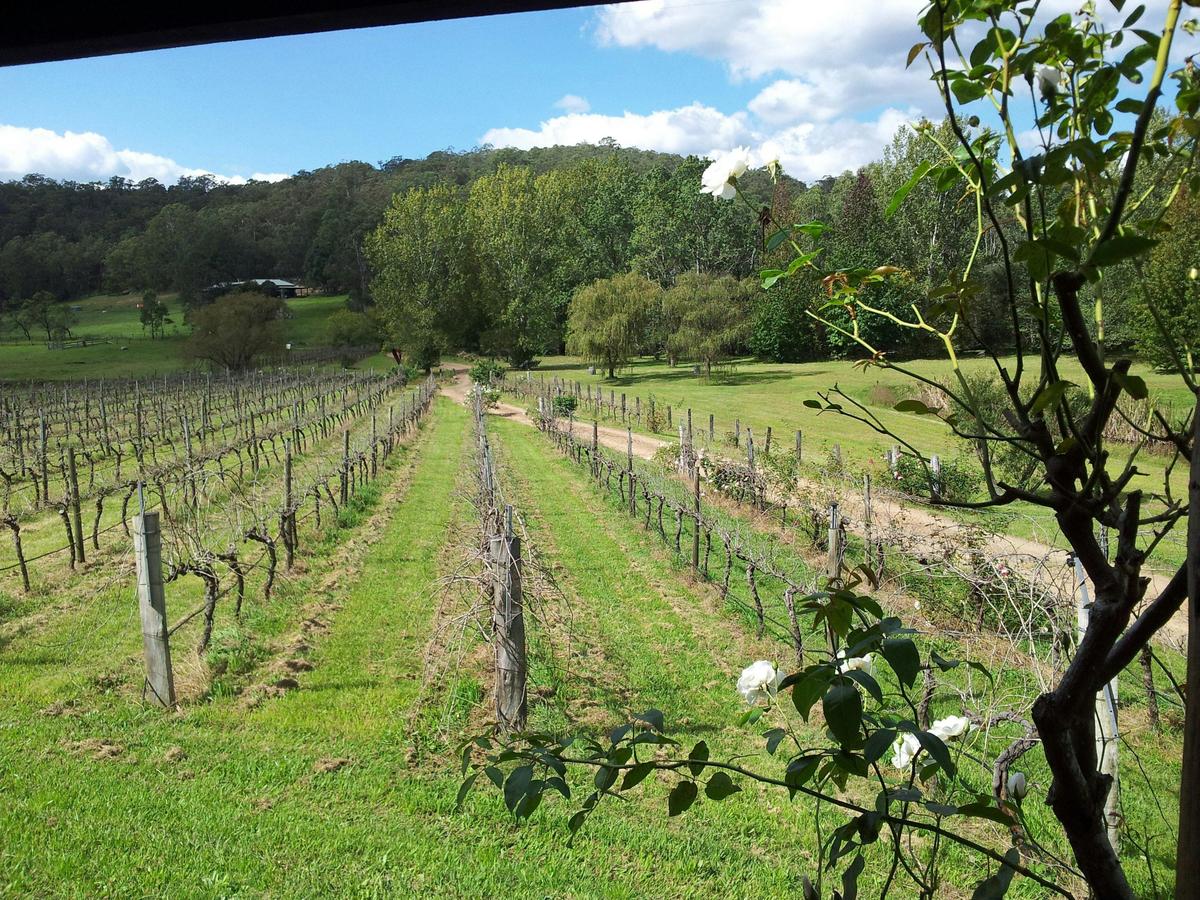Hunter valley vineyards wine tour 2 days
