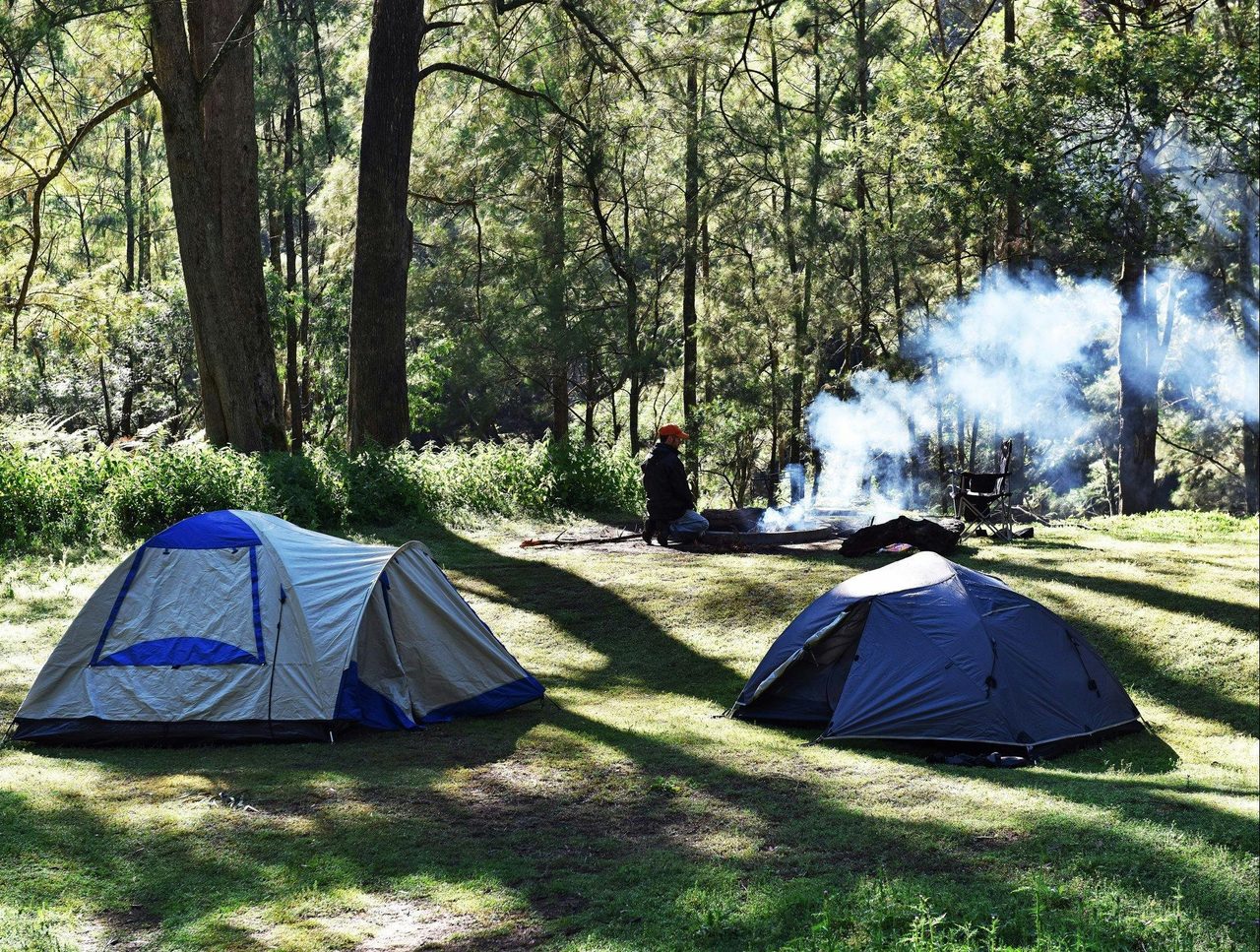 Nature Engagement Tours