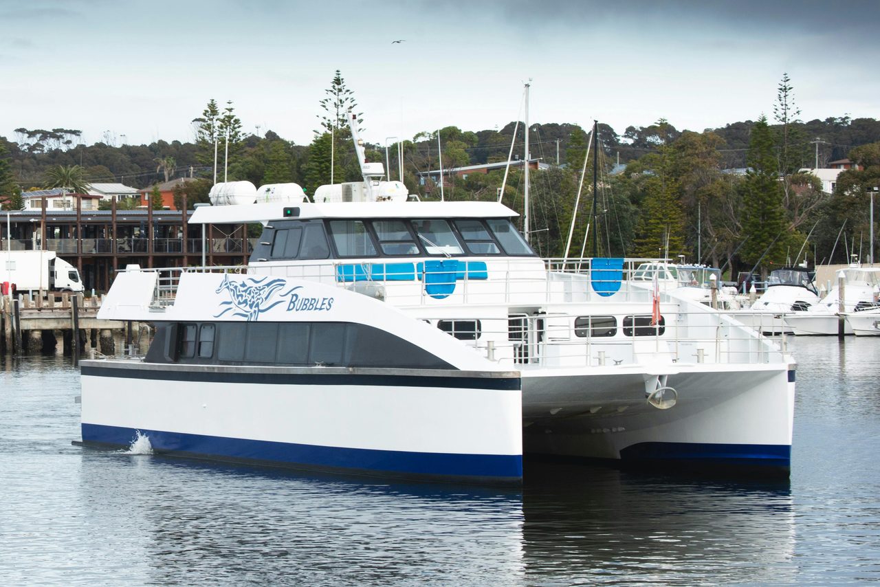 Our Vessel Bubbles