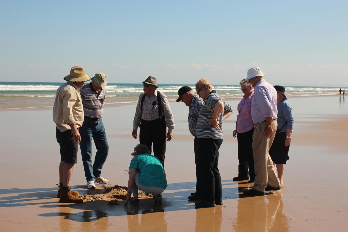 Beach & Dune Tour with Sandboarding (1.5 hours)