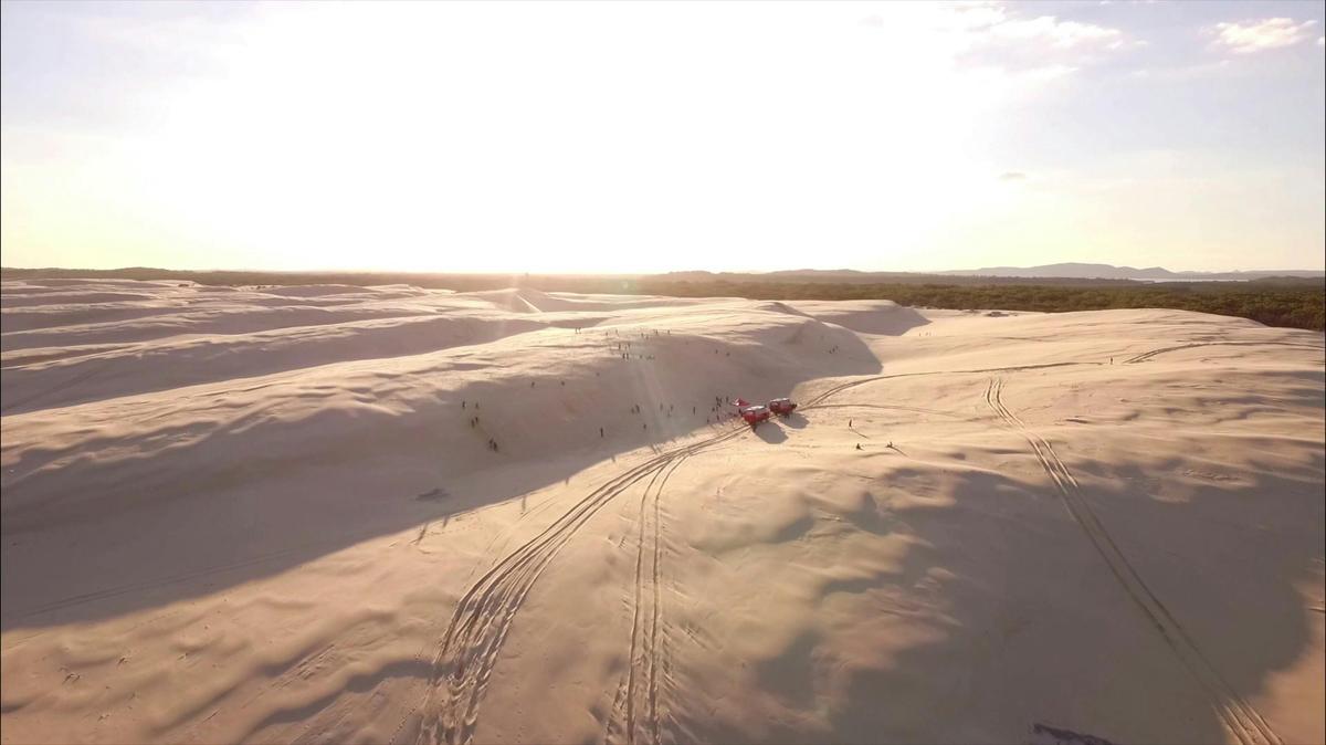 Beach & Dune Tour with Sandboarding (1.5 hours)