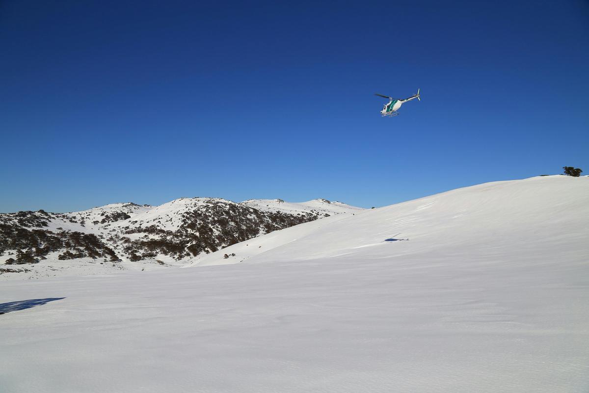 Scenic Flights around the snow covered mountains