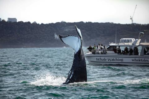 Whale Tales by name and nature!