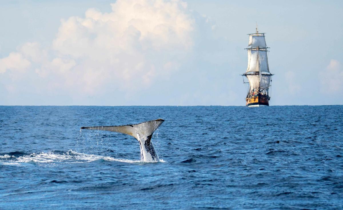 a real photo from  a trip