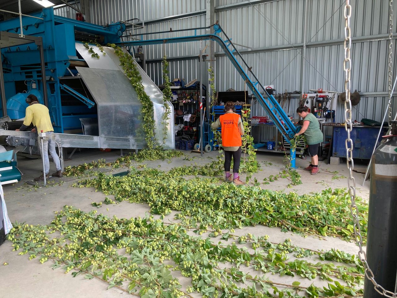 Harvest