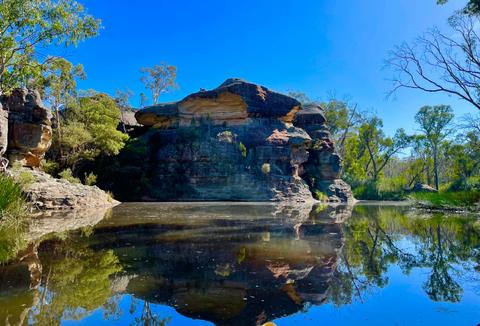 Southern Cross Kayaking - Friday on my Mind Tour - Ganguddy-Dunns Swamp