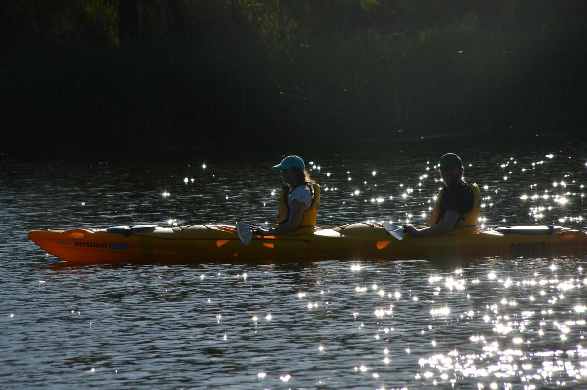 Friday on my Mind guided kayak Tour at Ganguddy-Dunns Swamp
