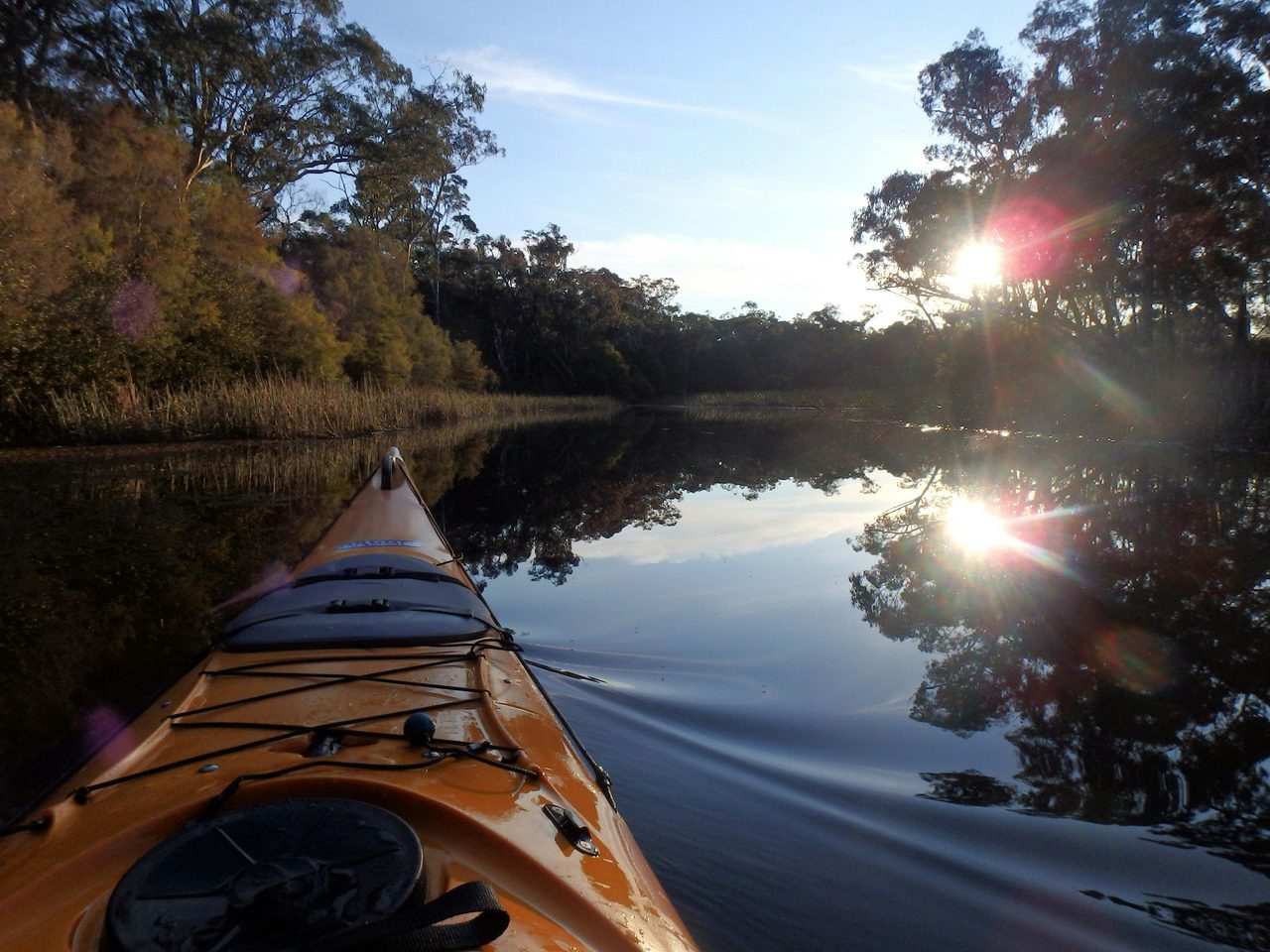 Ganguddy-Dunns Swamp Twilight kayak tour